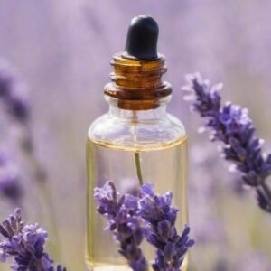Lavender Essential Oil