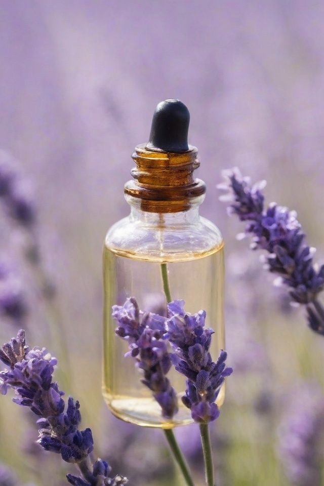 Lavender Essential Oil
